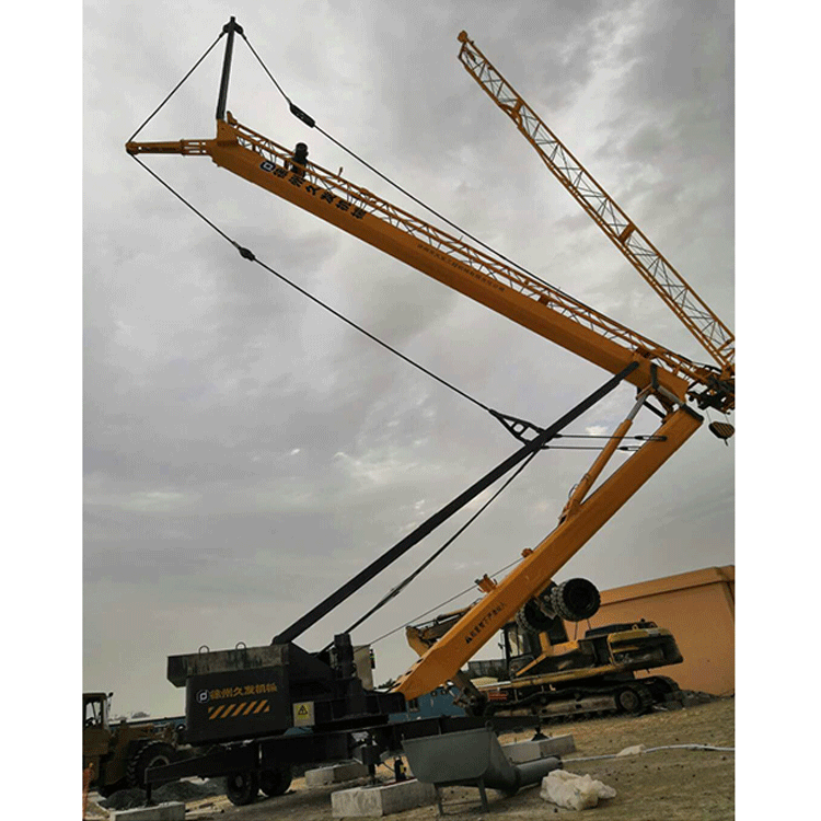 4 ton mini tower crane-1